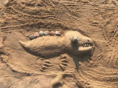 Lizard Sand Creation