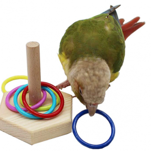 bird-toy2